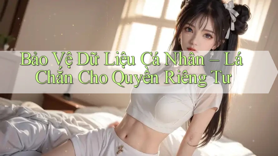 Bảo Vệ Dữ Liệu Cá Nhân – Lá Chắn Cho Quyền Riêng Tư Bảo Vệ Dữ Liệu Cá Nhân – Lá Chắn Cho Quyền Riêng Tư