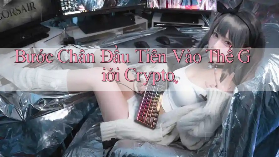 Bước Chân Đầu Tiên Vào Thế Giới Crypto