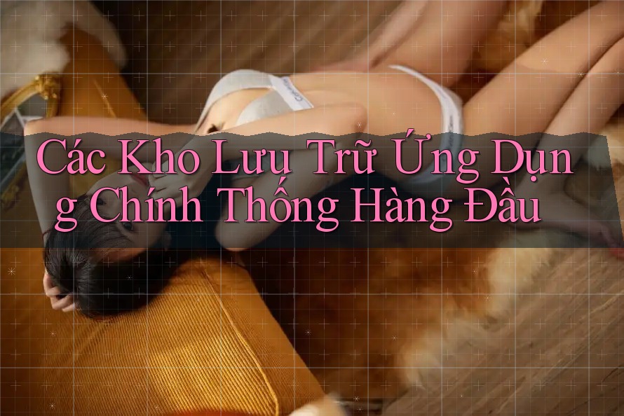 Các Kho Lưu Trữ Ứng Dụng Chính Thống Hàng Đầu Các Kho Lưu Trữ Ứng Dụng Chính Thống Hàng Đầu