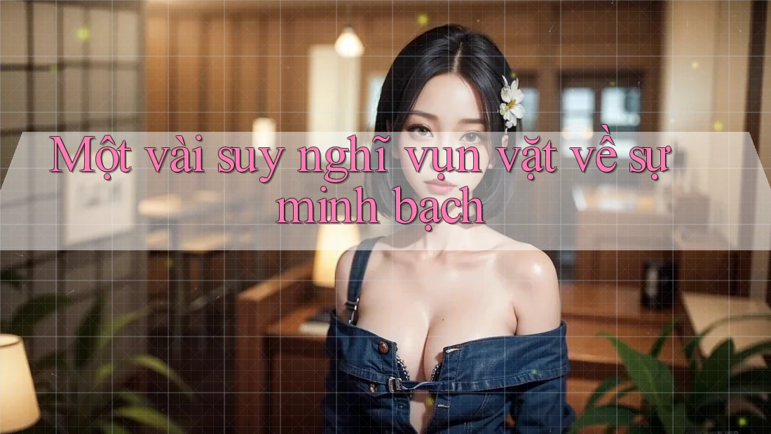 Một vài suy nghĩ vụn vặt về sự minh bạch Một vài suy nghĩ vụn vặt về sự minh bạch